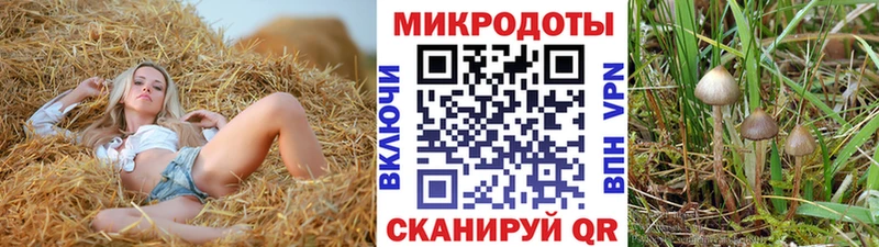 Галлюциногенные грибы Magic Shrooms  где найти наркотики  Бузулук 